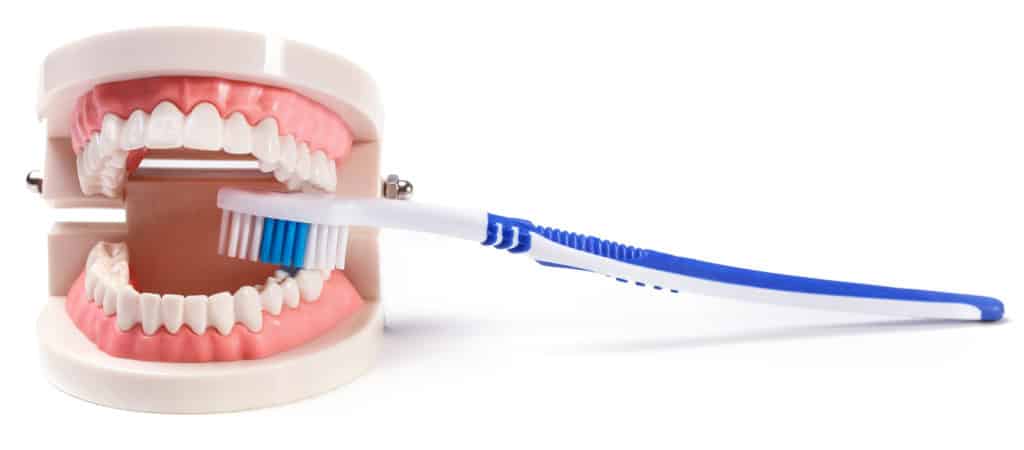 養成刷牙的好習慣，才是維持牙齒亮白的關鍵!