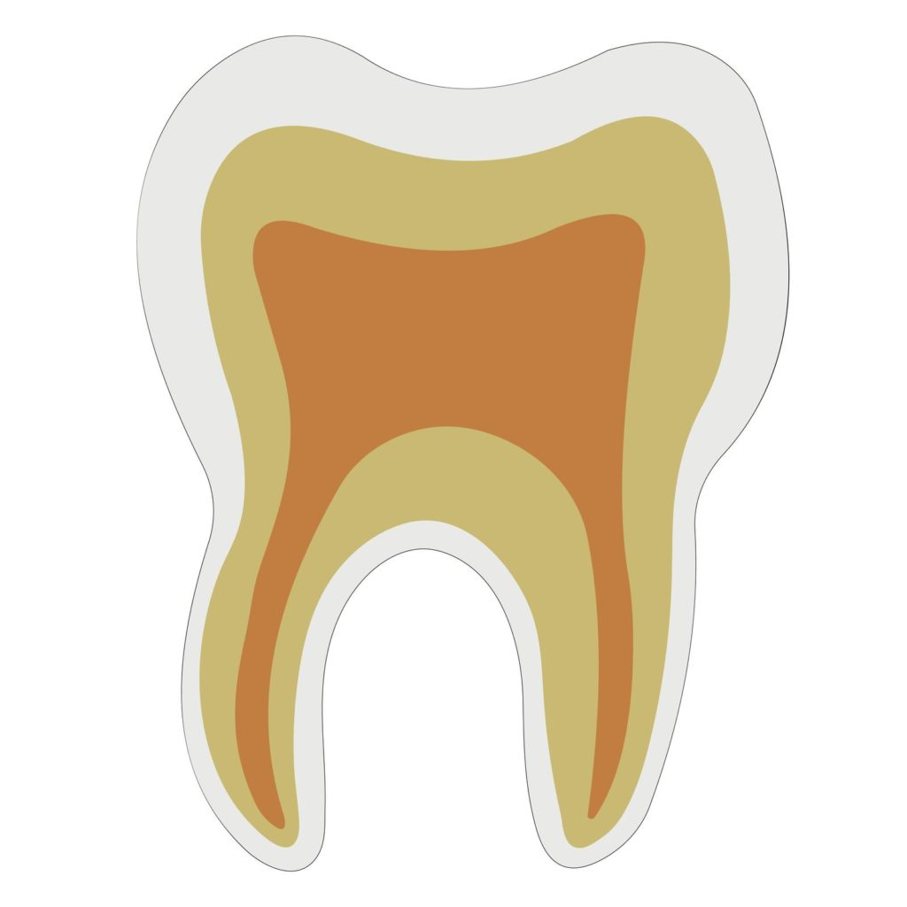 牙釉質會隨著年紀增長而變薄，牙齒感覺就會變黃。