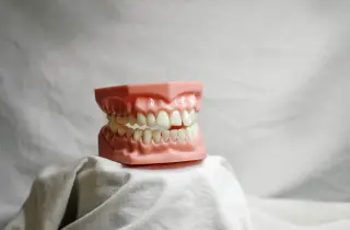 斷裂影響牙根